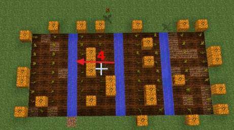 我的世界南瓜不结果补救方法