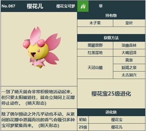 宝可梦传说阿尔宙斯樱花儿位置攻略