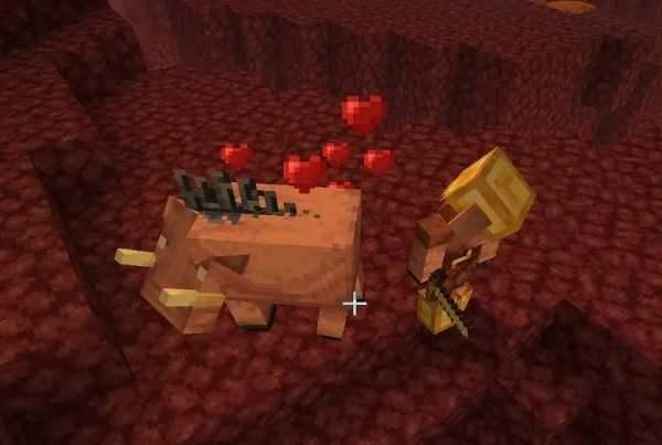 我的世界猪灵堡垒怎么找