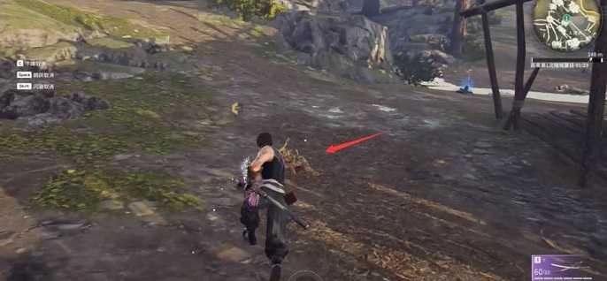 永劫无间蛤蟆刷新是固定的吗,永劫无间蛤蟆刷新机制解析