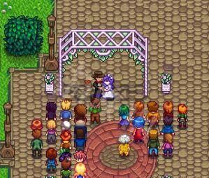 星露谷物语怎么结婚,星露谷物语结婚玩法流程介绍