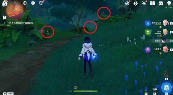 原神与珍稀之鸟类的短暂邂逅任务怎么做,原神与珍稀之鸟类的短暂邂逅任务攻略