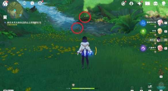 原神与珍稀之鸟类的短暂邂逅任务怎么做,原神与珍稀之鸟类的短暂邂逅任务攻略