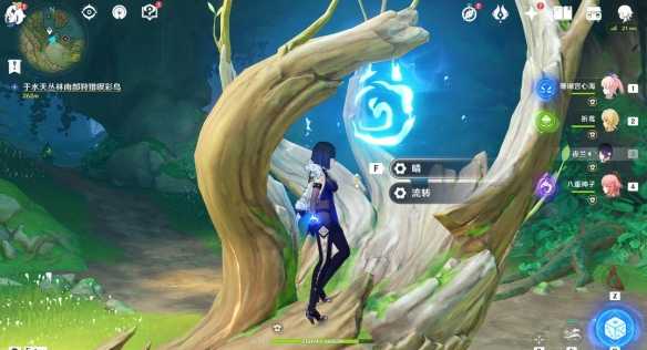 原神与珍稀之鸟类的短暂邂逅任务怎么做,原神与珍稀之鸟类的短暂邂逅任务攻略