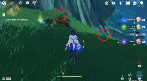 原神与珍稀之鸟类的短暂邂逅任务怎么做,原神与珍稀之鸟类的短暂邂逅任务攻略