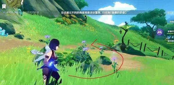 原神观察须弥蔷薇寻找隐藏的歌曲怎么做,原神观察须弥蔷薇寻找隐藏的歌曲任务流程