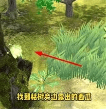 夺笋高手隐藏图鉴怎么找,夺笋高手隐藏图鉴攻略