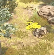 夺笋高手隐藏图鉴怎么找,夺笋高手隐藏图鉴攻略