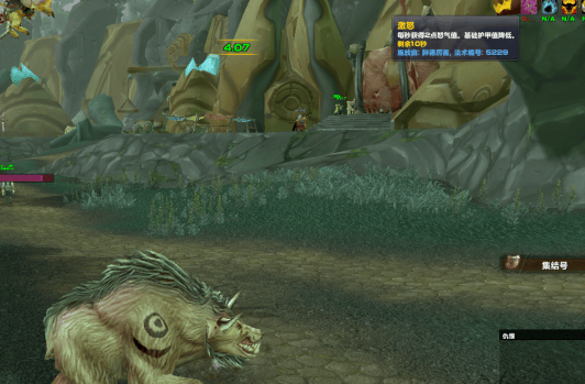 魔兽世界德鲁伊宏有哪些,魔兽世界TBC德鲁伊进阶宏大全