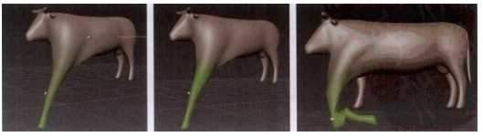 Autodesk Mudbox 2022