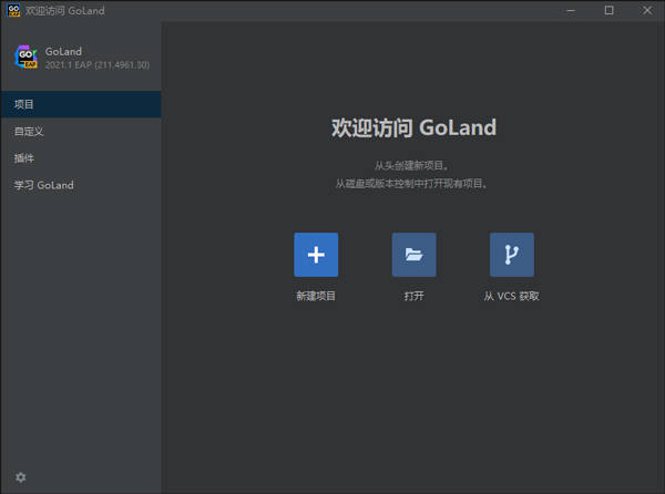 JetBrains GoLand 2021