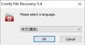 Comfy File Recovery