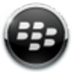 BerryBox(黑莓手机管理工具) V0.2.1 官方版