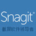 SnagIt(截图软件) V13.00.6248 官方版