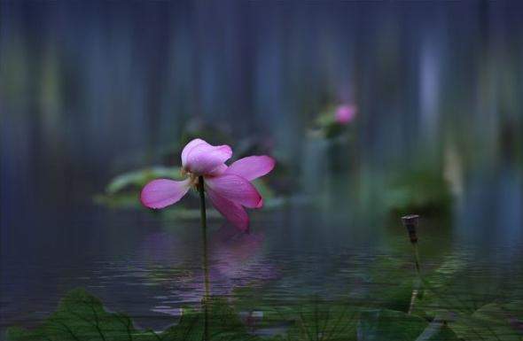 水之语滤镜插件