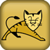 Tomcat 10 V10 绿色安装版