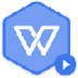 WPS Office 2019 V11.8.2.9067 专业增强版