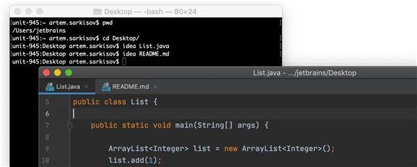 IntelliJ IDEA