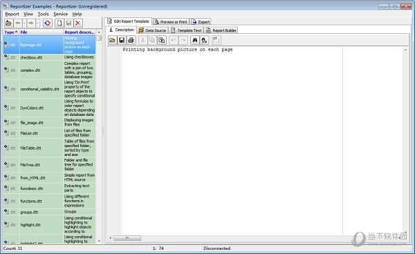Reportizer报告单编辑器