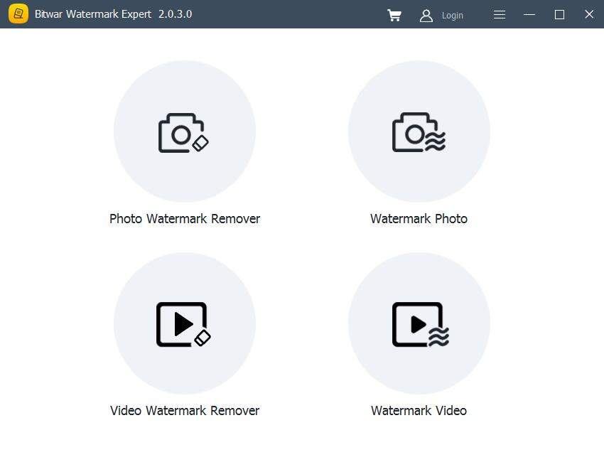 EasePaint Watermark Expert