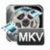 Emicsoft MKV Converter V4.1.20 英文安装版