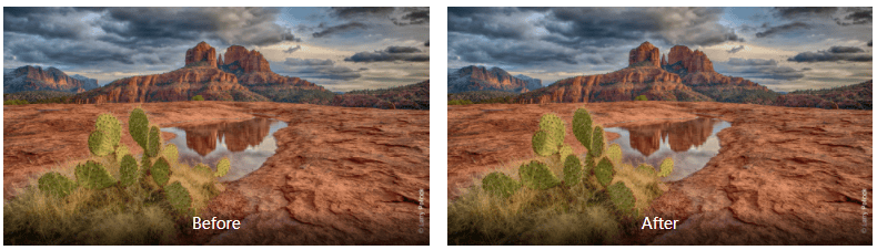 Nik Collection for win