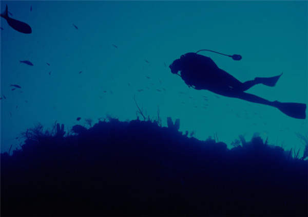 傲软视频编辑王