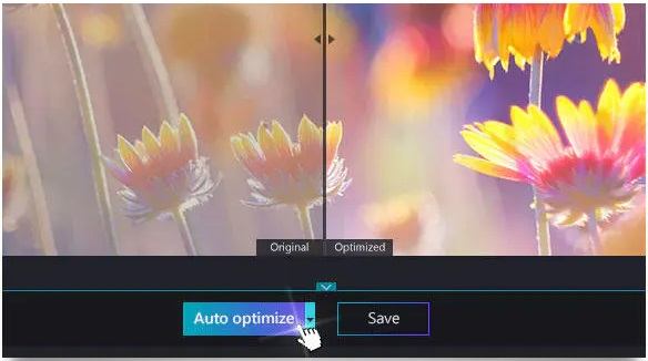 Ashampoo Photo Optimizer