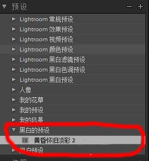 Lr调色预设合集