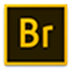 Adobe Bridge2021（图片处理工具） V11.0.1.109 多国语言版 64位