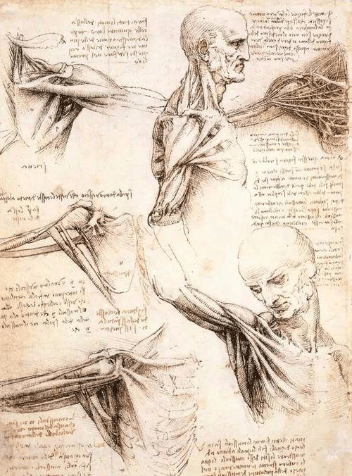 Autodesk SketchBook Pro