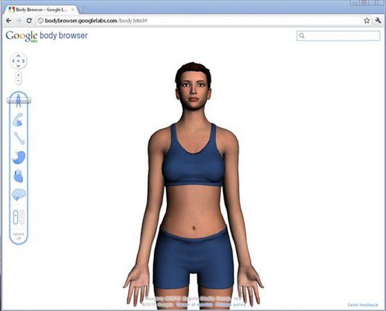 谷歌人体浏览器