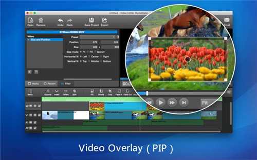 MovieMator Video Editor Pro