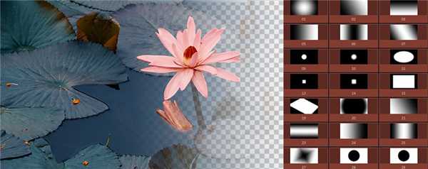 MAGIX Video Pro X13(专业视频编辑)