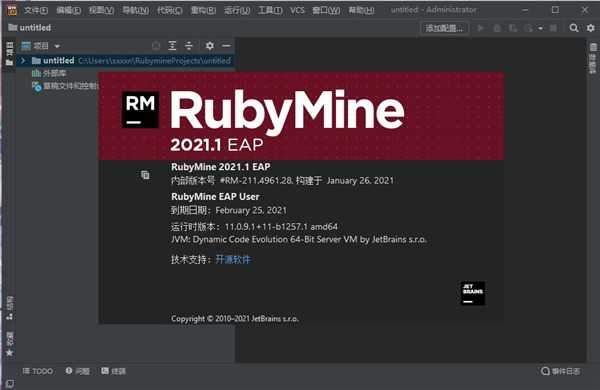 RubyMine