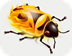 FireBug V3.0.11 官方最新版
