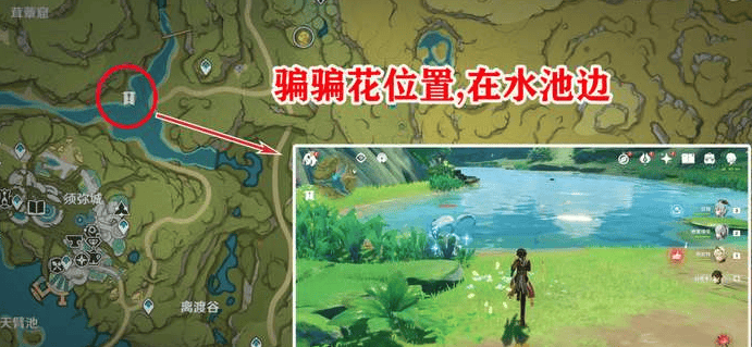 原神生不出的花成就怎么做,原神生不出的花隐藏成就完成攻略