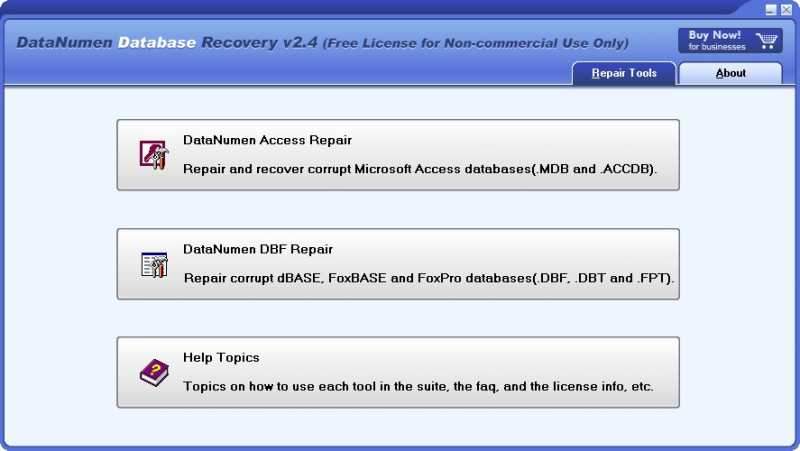 DataNumen Database Recovery