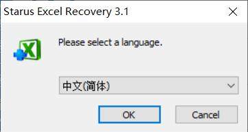 Starus Excel Recovery