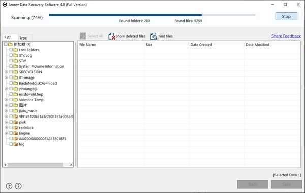 Amrev Data Recovery Software