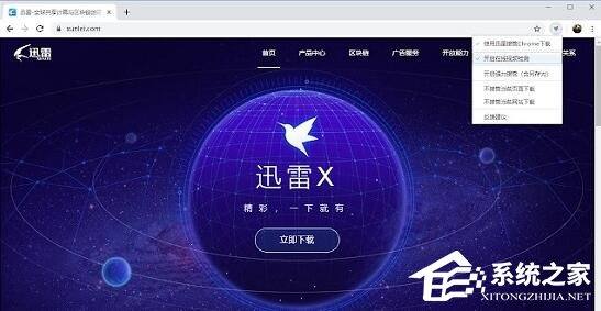 迅雷下载支持插件