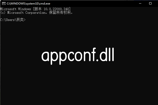 appconf.dll文件