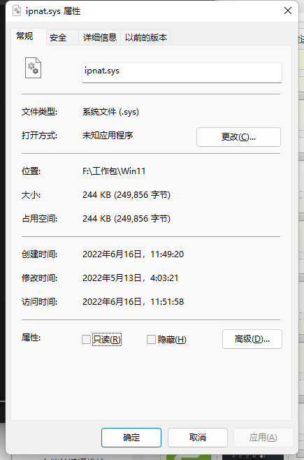 ipnat.sys文件 Win11版