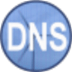 Simple DNS Plus(DNS服务器软件) V9.1 Build 108 免费版