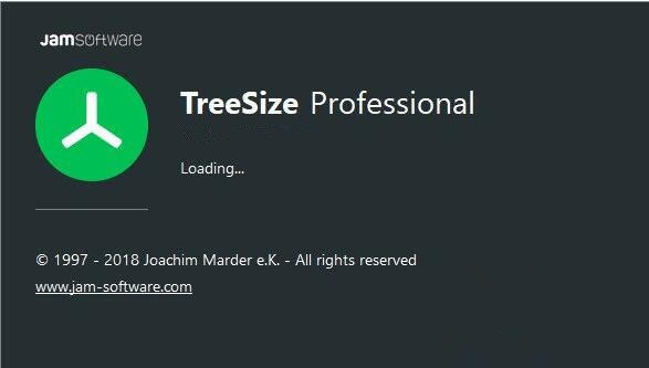 TreeSize Professional