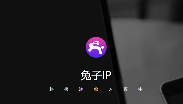 兔子IP