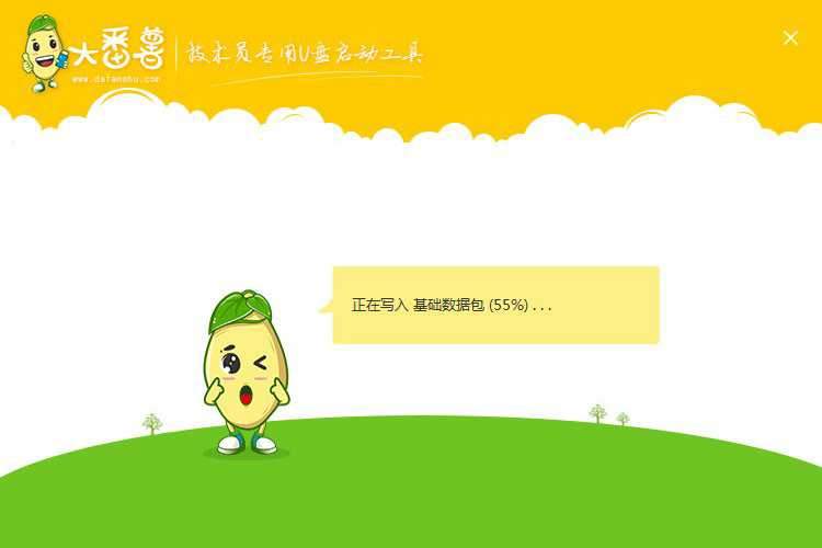 大番薯U盘启动盘制作工具高级版