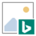 BingSnap(Bing壁纸软件) V3.0 官方最新版