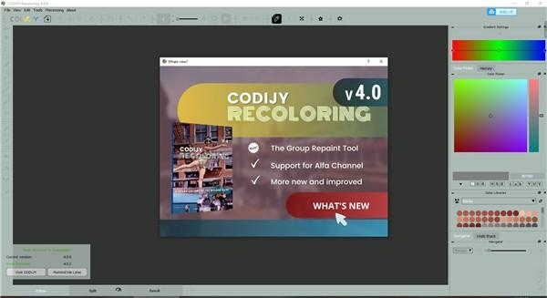 CODIJY Recoloring(照片着色软件)