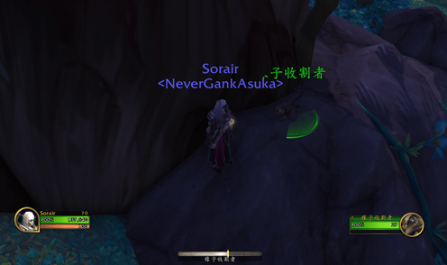 魔兽世界10.0栗子怎么获得,魔兽世界10.0栗子宠物获取方法